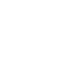 Turbo_Fish_Logo(Positivo)